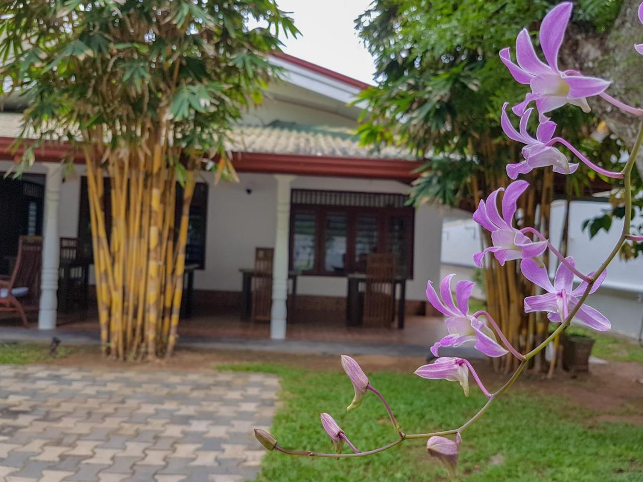 White Villa Beach Resort Mirissa Exterior foto